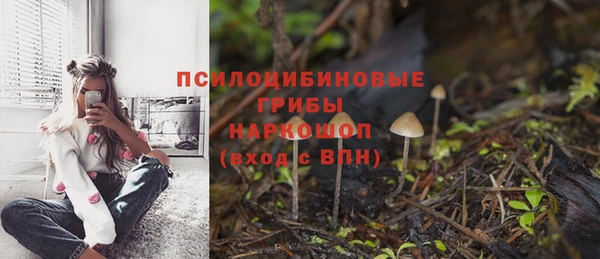 2c-b Армянск