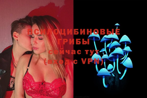 MDMA Premium VHQ Аркадак