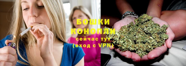 эйфоретик Липки